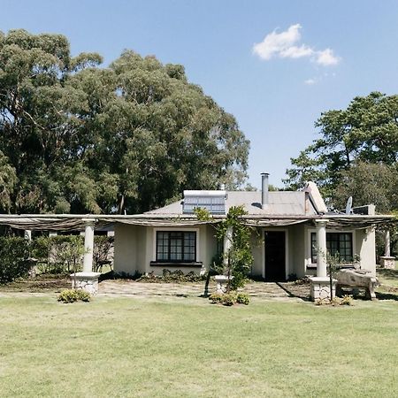 Florence Guest Farm 호텔 Chrissiesmeer 외부 사진