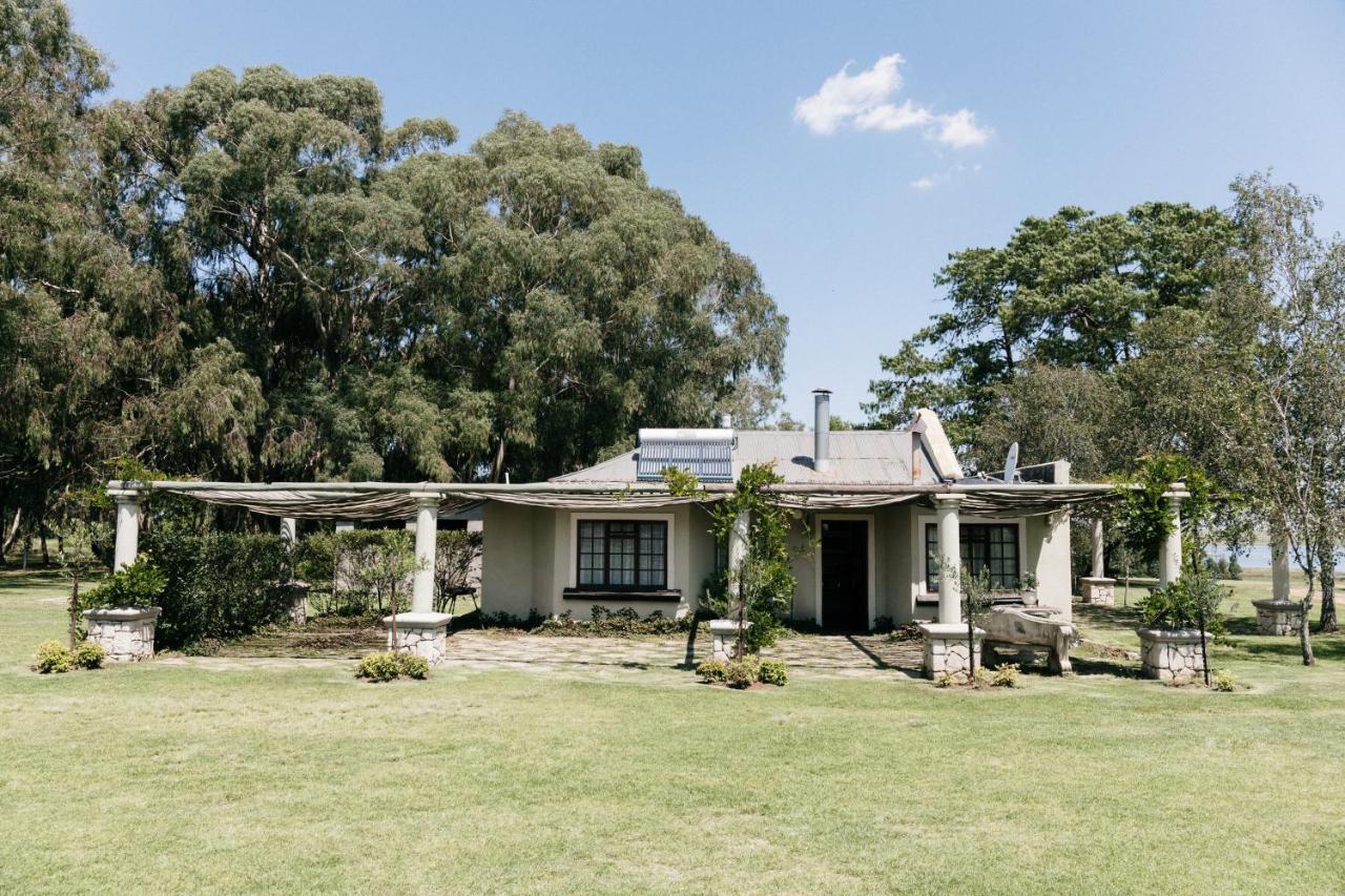 Florence Guest Farm 호텔 Chrissiesmeer 외부 사진