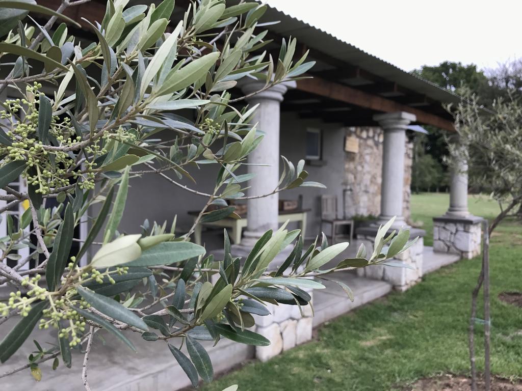Florence Guest Farm 호텔 Chrissiesmeer 외부 사진
